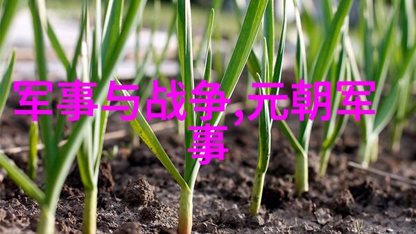 铁木真的残忍
