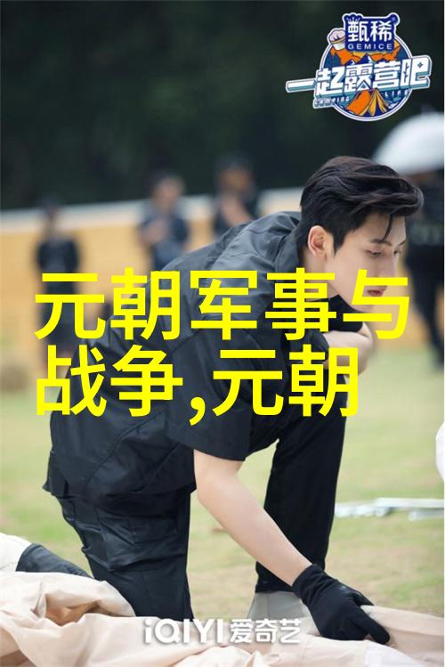 大理国是怎么灭亡的