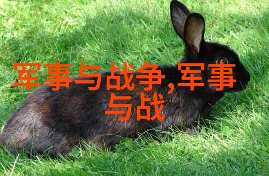 亲兄弟为皇大不同武宗滥政